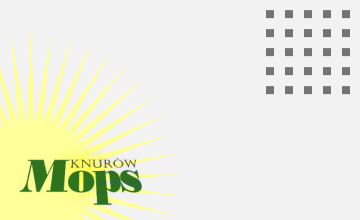 PROGRAM WIELOLETNI „ SENIOR +” edycja 2025