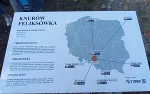 Zdjęcia z organizacji ogniska (7)